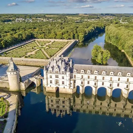 Le Mimosa - Place Des Halles Tours