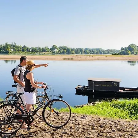 Le Mimosa - Place Des Halles Appartement *
