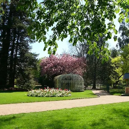 Le Mimosa - Place Des Halles *