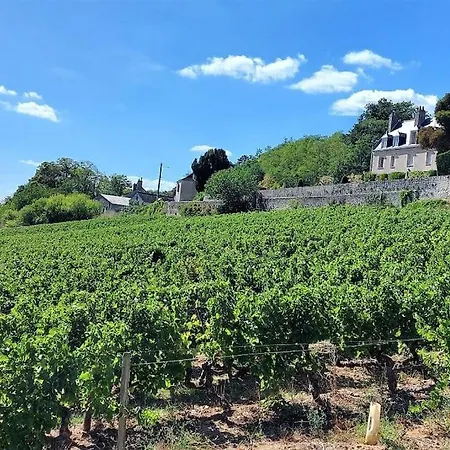 Appartement Le Mimosa - Place Des Halles
