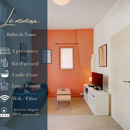 Le Mimosa - Place Des Halles Appartement Tours