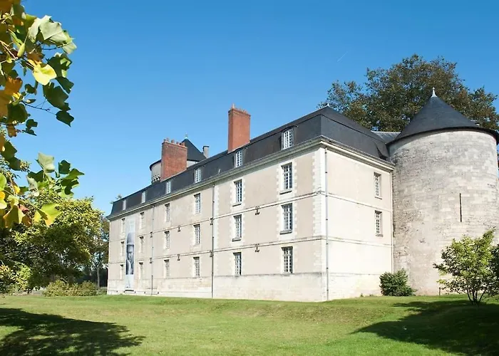 Le Mimosa - Place Des Halles *