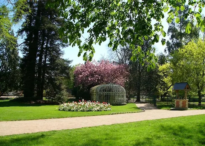 Le Mimosa - Place Des Halles *