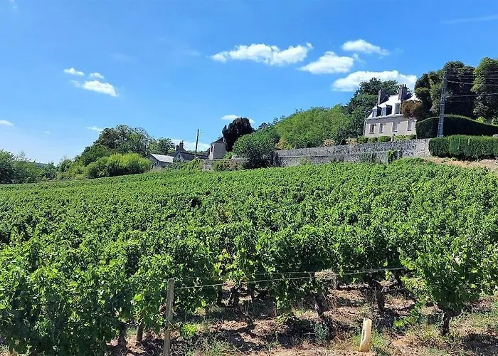 Апартаменты Le Mimosa - Place Des Halles